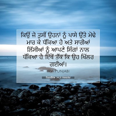 Picture 07 - ਹਿਜ਼ਕੀਏਲ 34:21 PANIRV - ਕਿਉਂ ਜੋ ਤੁਸੀਂ - Bible Verse Picture