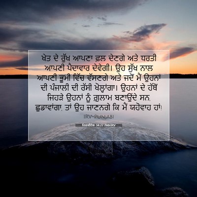 Picture 07 - ਹਿਜ਼ਕੀਏਲ 34:27 PANIRV - ਖੇਤ ਦੇ ਰੁੱਖ ਆਪਣਾ - Bible Verse Picture