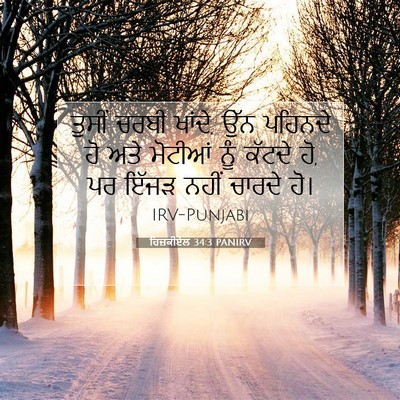 Picture 07 - ਹਿਜ਼ਕੀਏਲ 34:3 PANIRV - ਤੁਸੀਂ ਚਰਬੀ ਖਾਂਦੇ, - Bible Verse Picture