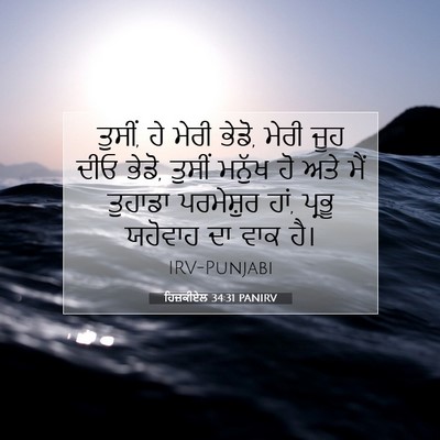 Picture 07 - ਹਿਜ਼ਕੀਏਲ 34:31 PANIRV - ਤੁਸੀਂ, ਹੇ ਮੇਰੀ - Bible Verse Picture