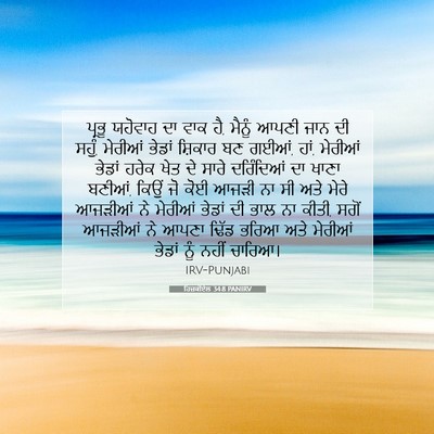 Picture 07 - ਹਿਜ਼ਕੀਏਲ 34:8 PANIRV - ਪ੍ਰਭੂ ਯਹੋਵਾਹ ਦਾ - Bible Verse Picture