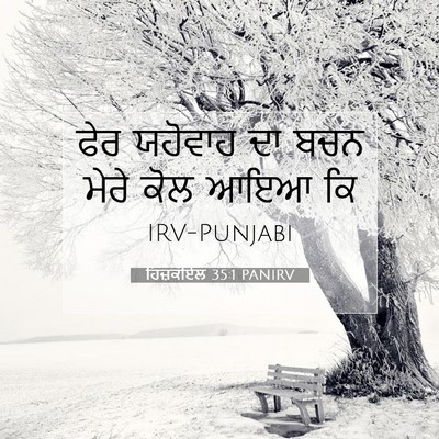 Picture 07 - ਹਿਜ਼ਕੀਏਲ 35:1 PANIRV - ਫੇਰ ਯਹੋਵਾਹ ਦਾ ਬਚਨ - Bible Verse Picture