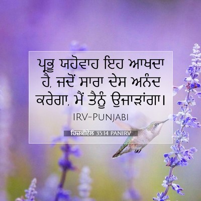 Picture 07 - ਹਿਜ਼ਕੀਏਲ 35:14 PANIRV - ਪ੍ਰਭੂ ਯਹੋਵਾਹ ਇਹ - Bible Verse Picture