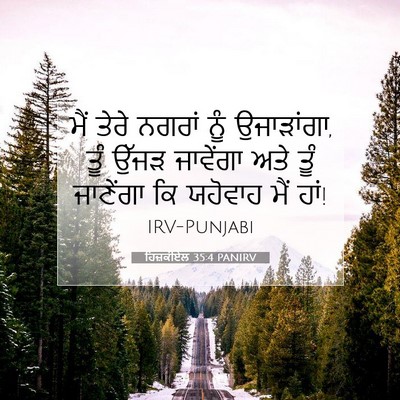 Picture 07 - ਹਿਜ਼ਕੀਏਲ 35:4 PANIRV - ਮੈਂ ਤੇਰੇ ਨਗਰਾਂ ਨੂੰ - Bible Verse Picture