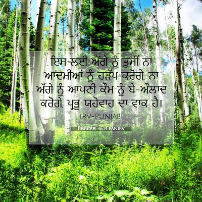 Picture 07 - ਹਿਜ਼ਕੀਏਲ 36:14 PANIRV - ਇਸ ਲਈ ਅੱਗੇ ਨੂੰ - Bible Verse Picture