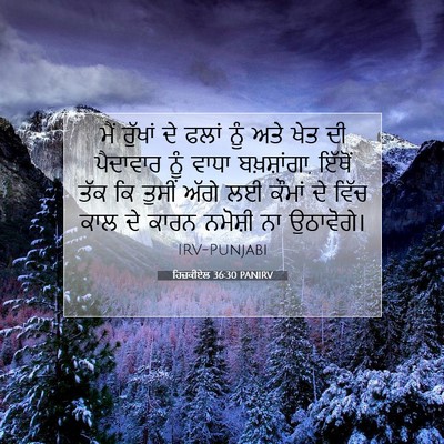 Picture 07 - ਹਿਜ਼ਕੀਏਲ 36:30 PANIRV - ਮੈਂ ਰੁੱਖਾਂ ਦੇ ਫਲਾਂ - Bible Verse Picture