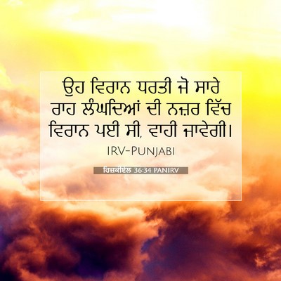 Picture 07 - ਹਿਜ਼ਕੀਏਲ 36:34 PANIRV - ਉਹ ਵਿਰਾਨ ਧਰਤੀ ਜੋ - Bible Verse Picture