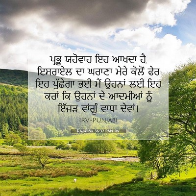 Picture 07 - ਹਿਜ਼ਕੀਏਲ 36:37 PANIRV - ਪ੍ਰਭੂ ਯਹੋਵਾਹ ਇਹ - Bible Verse Picture