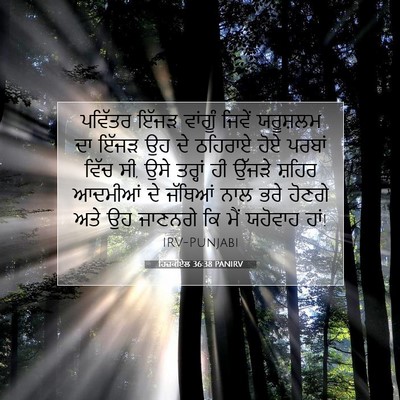 Picture 07 - ਹਿਜ਼ਕੀਏਲ 36:38 PANIRV - ਪਵਿੱਤਰ ਇੱਜੜ - Bible Verse Picture