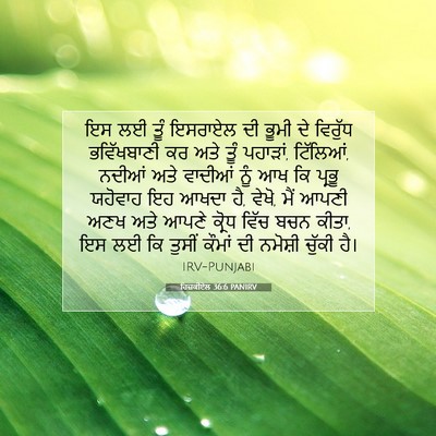 Picture 07 - ਹਿਜ਼ਕੀਏਲ 36:6 PANIRV - ਇਸ ਲਈ ਤੂੰ ਇਸਰਾਏਲ ਦੀ - Bible Verse Picture
