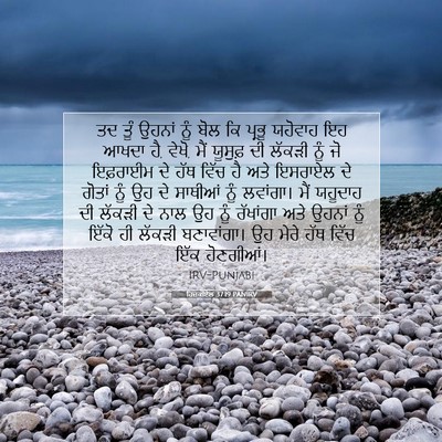 Picture 07 - ਹਿਜ਼ਕੀਏਲ 37:19 PANIRV - ਤਦ ਤੂੰ ਉਹਨਾਂ ਨੂੰ - Bible Verse Picture