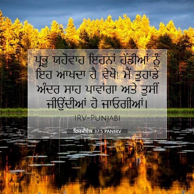 Picture 07 - ਹਿਜ਼ਕੀਏਲ 37:5 PANIRV - ਪ੍ਰਭੂ ਯਹੋਵਾਹ - Bible Verse Picture