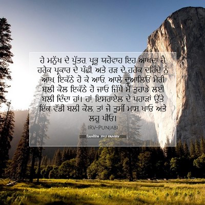 Picture 07 - ਹਿਜ਼ਕੀਏਲ 39:17 PANIRV - ਹੇ ਮਨੁੱਖ ਦੇ ਪੁੱਤਰ, - Bible Verse Picture