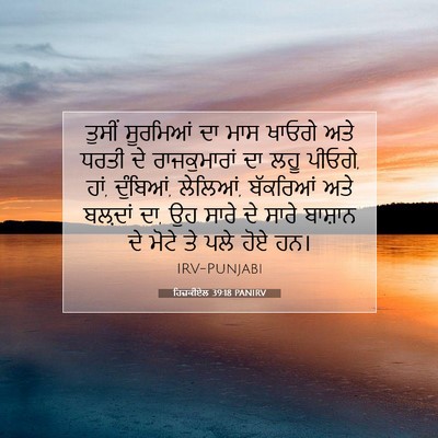 Picture 07 - ਹਿਜ਼ਕੀਏਲ 39:18 PANIRV - ਤੁਸੀਂ ਸੂਰਮਿਆਂ ਦਾ - Bible Verse Picture