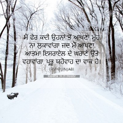 Picture 07 - ਹਿਜ਼ਕੀਏਲ 39:29 PANIRV - ਮੈਂ ਫੇਰ ਕਦੀ ਉਹਨਾਂ - Bible Verse Picture