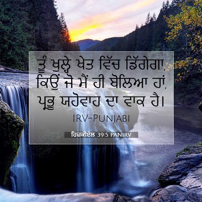 Picture 07 - ਹਿਜ਼ਕੀਏਲ 39:5 PANIRV - ਤੂੰ ਖੁਲ੍ਹੇ ਖੇਤ - Bible Verse Picture