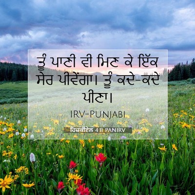 Picture 07 - ਹਿਜ਼ਕੀਏਲ 4:11 PANIRV - ਤੂੰ ਪਾਣੀ ਵੀ ਮਿਣ ਕੇ - Bible Verse Picture