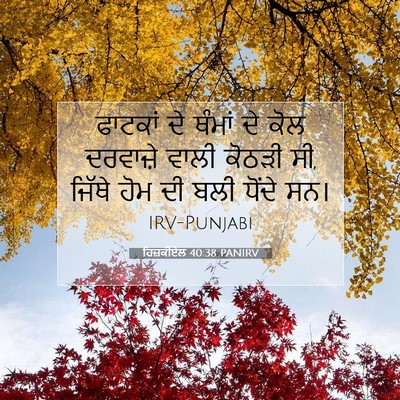 Picture 07 - ਹਿਜ਼ਕੀਏਲ 40:38 PANIRV - ਫਾਟਕਾਂ ਦੇ ਥੰਮਾਂ ਦੇ - Bible Verse Picture