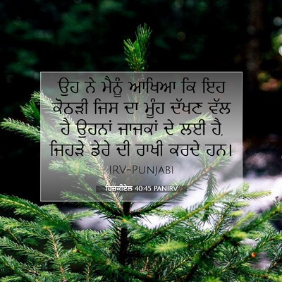 Picture 07 - ਹਿਜ਼ਕੀਏਲ 40:45 PANIRV - ਉਹ ਨੇ ਮੈਨੂੰ ਆਖਿਆ ਕਿ - Bible Verse Picture