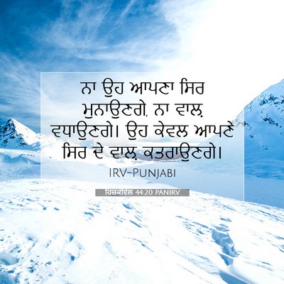 Picture 07 - ਹਿਜ਼ਕੀਏਲ 44:20 PANIRV - ਨਾ ਉਹ ਆਪਣਾ ਸਿਰ - Bible Verse Picture