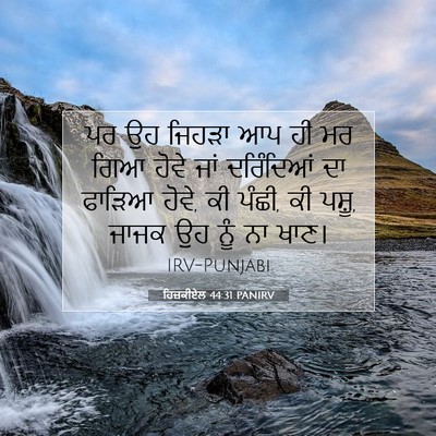 Picture 07 - ਹਿਜ਼ਕੀਏਲ 44:31 PANIRV - ਪਰ ਉਹ ਜਿਹੜਾ ਆਪ ਹੀ - Bible Verse Picture