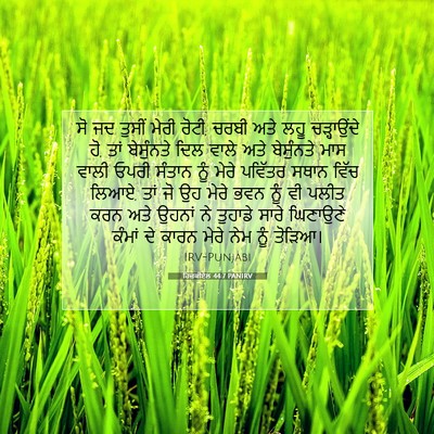 Picture 07 - ਹਿਜ਼ਕੀਏਲ 44:7 PANIRV - ਸੋ ਜਦ ਤੁਸੀਂ ਮੇਰੀ - Bible Verse Picture