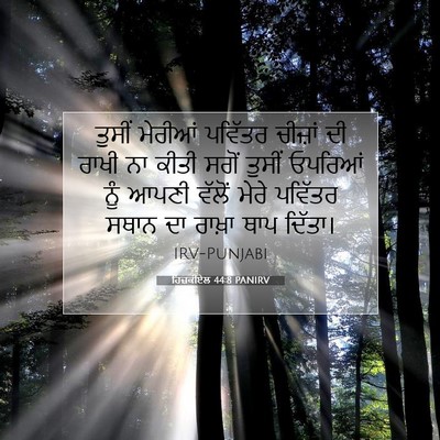 Picture 07 - ਹਿਜ਼ਕੀਏਲ 44:8 PANIRV - ਤੁਸੀਂ ਮੇਰੀਆਂ - Bible Verse Picture