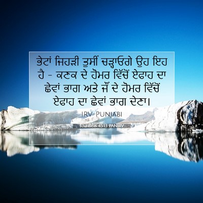 Picture 07 - ਹਿਜ਼ਕੀਏਲ 45:13 PANIRV - ਭੇਟਾਂ ਜਿਹੜੀ ਤੁਸੀਂ - Bible Verse Picture