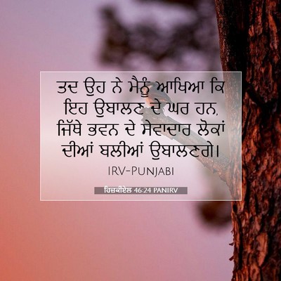 Picture 07 - ਹਿਜ਼ਕੀਏਲ 46:24 PANIRV - ਤਦ ਉਹ ਨੇ ਮੈਨੂੰ ਆਖਿਆ - Bible Verse Picture