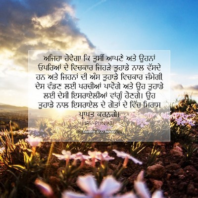 Picture 07 - ਹਿਜ਼ਕੀਏਲ 47:22 PANIRV - ਅਜਿਹਾ ਹੋਵੇਗਾ ਕਿ - Bible Verse Picture