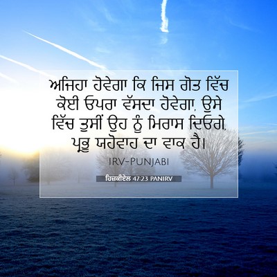 Picture 07 - ਹਿਜ਼ਕੀਏਲ 47:23 PANIRV - ਅਜਿਹਾ ਹੋਵੇਗਾ ਕਿ - Bible Verse Picture