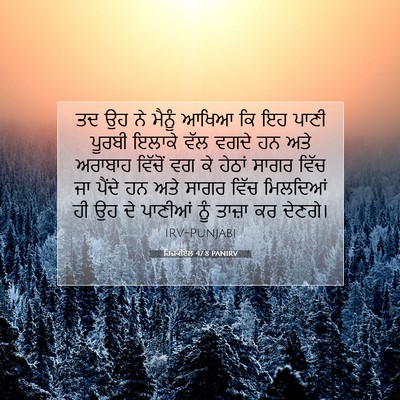 Picture 07 - ਹਿਜ਼ਕੀਏਲ 47:8 PANIRV - ਤਦ ਉਹ ਨੇ ਮੈਨੂੰ ਆਖਿਆ - Bible Verse Picture