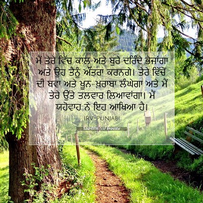 Picture 07 - ਹਿਜ਼ਕੀਏਲ 5:17 PANIRV - ਮੈਂ ਤੇਰੇ ਵਿੱਚ ਕਾਲ - Bible Verse Picture