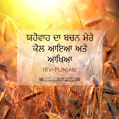 Picture 07 - ਹਿਜ਼ਕੀਏਲ 6:1 PANIRV - ਯਹੋਵਾਹ ਦਾ ਬਚਨ ਮੇਰੇ - Bible Verse Picture