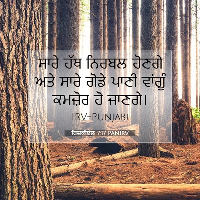 Picture 07 - ਹਿਜ਼ਕੀਏਲ 7:17 PANIRV - ਸਾਰੇ ਹੱਥ ਨਿਰਬਲ - Bible Verse Picture
