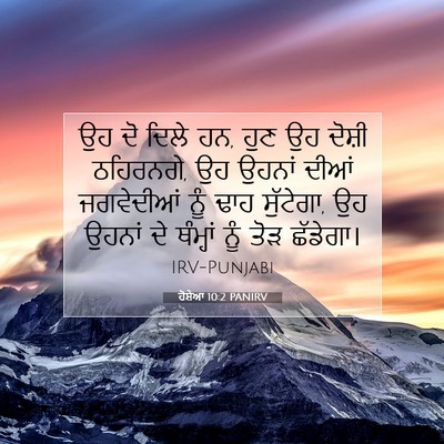 Picture 07 - ਹੋਸ਼ੇਆ 10:2 PANIRV - ਉਹ ਦੋ ਦਿਲੇ ਹਨ, ਹੁਣ - Bible Verse Picture