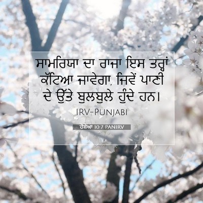 Picture 07 - ਹੋਸ਼ੇਆ 10:7 PANIRV - ਸਾਮਰਿਯਾ ਦਾ ਰਾਜਾ ਇਸ - Bible Verse Picture
