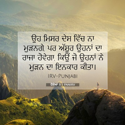 Picture 07 - ਹੋਸ਼ੇਆ 11:5 PANIRV - ਉਹ ਮਿਸਰ ਦੇਸ ਵਿੱਚ ਨਾ - Bible Verse Picture