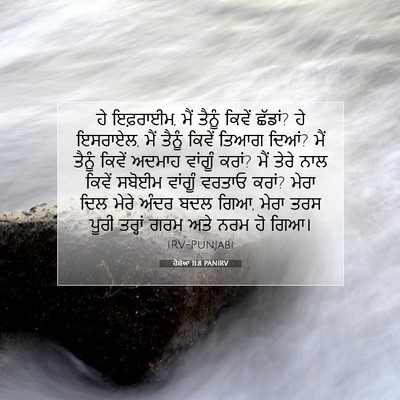 Picture 07 - ਹੋਸ਼ੇਆ 11:8 PANIRV - ਹੇ ਇਫ਼ਰਾਈਮ, ਮੈਂ - Bible Verse Picture