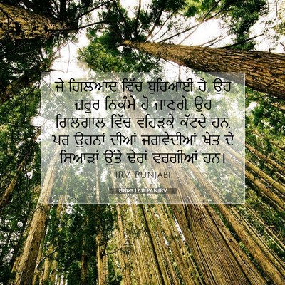 Picture 07 - ਹੋਸ਼ੇਆ 12:11 PANIRV - ਜੇ ਗਿਲਆਦ ਵਿੱਚ - Bible Verse Picture