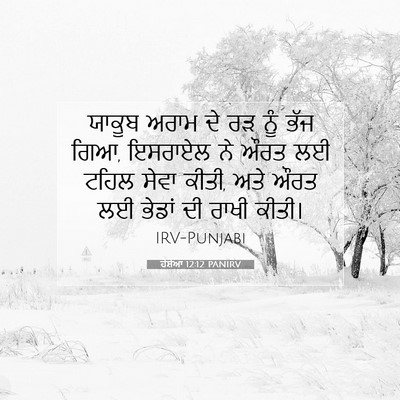 Picture 07 - ਹੋਸ਼ੇਆ 12:12 PANIRV - ਯਾਕੂਬ ਅਰਾਮ ਦੇ ਰੜ - Bible Verse Picture