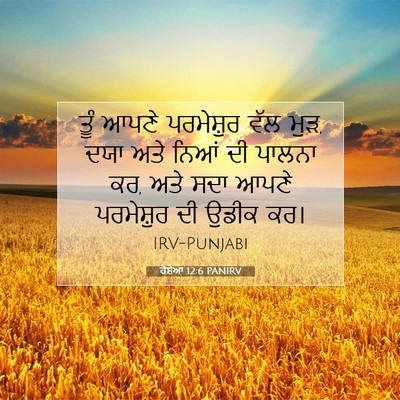Picture 07 - ਹੋਸ਼ੇਆ 12:6 PANIRV - ਤੂੰ ਆਪਣੇ ਪਰਮੇਸ਼ੁਰ - Bible Verse Picture
