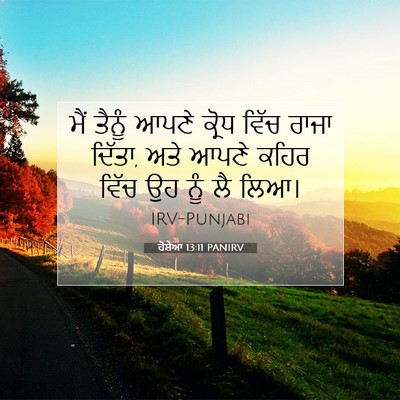 Picture 07 - ਹੋਸ਼ੇਆ 13:11 PANIRV - ਮੈਂ ਤੈਨੂੰ ਆਪਣੇ - Bible Verse Picture