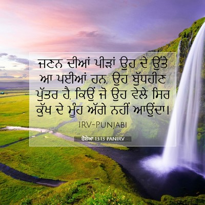 Picture 07 - ਹੋਸ਼ੇਆ 13:13 PANIRV - ਜਣਨ ਦੀਆਂ ਪੀੜਾਂ ਉਹ - Bible Verse Picture