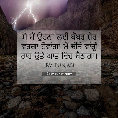 Picture 07 - ਹੋਸ਼ੇਆ 13:7 PANIRV - ਸੋ ਮੈਂ ਉਹਨਾਂ ਲਈ - Bible Verse Picture