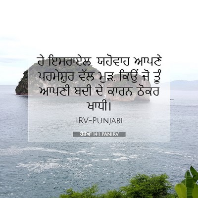 Picture 07 - ਹੋਸ਼ੇਆ 14:1 PANIRV - ਹੇ ਇਸਰਾਏਲ, ਯਹੋਵਾਹ - Bible Verse Picture