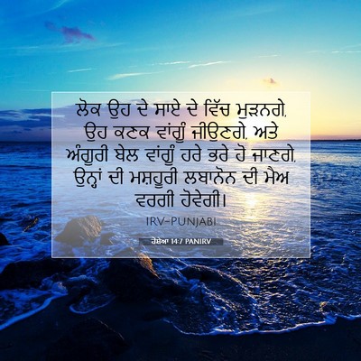 Picture 07 - ਹੋਸ਼ੇਆ 14:7 PANIRV - ਲੋਕ ਉਹ ਦੇ ਸਾਏ ਦੇ - Bible Verse Picture
