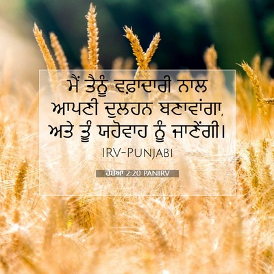 Picture 07 - ਹੋਸ਼ੇਆ 2:20 PANIRV - ਮੈਂ ਤੈਨੂੰ - Bible Verse Picture