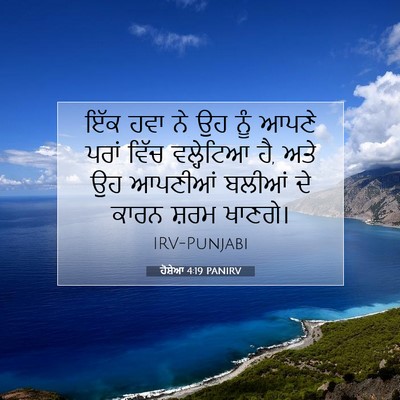 Picture 07 - ਹੋਸ਼ੇਆ 4:19 PANIRV - ਇੱਕ ਹਵਾ ਨੇ ਉਹ ਨੂੰ - Bible Verse Picture