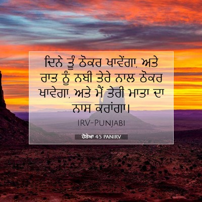 Picture 07 - ਹੋਸ਼ੇਆ 4:5 PANIRV - ਦਿਨੇ ਤੂੰ ਠੋਕਰ - Bible Verse Picture